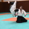 Aikido Molsheim Adultes DSC_9245